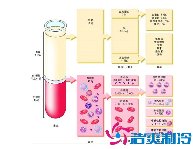 -30℃～-80℃血漿蛋白低溫冷凍庫規(guī)范，冷庫安裝價格